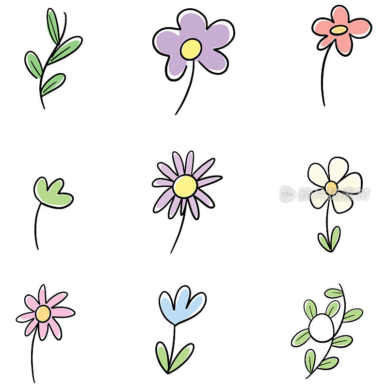 Floral Flower Doodle Illustration Collection of Wildflowers